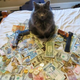 Illustration for article titled How to Make $7500 a Week by Working at Home with Google